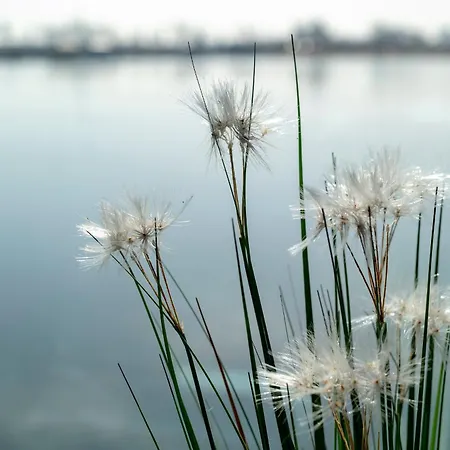Haus Im Olpenitz * Kappeln